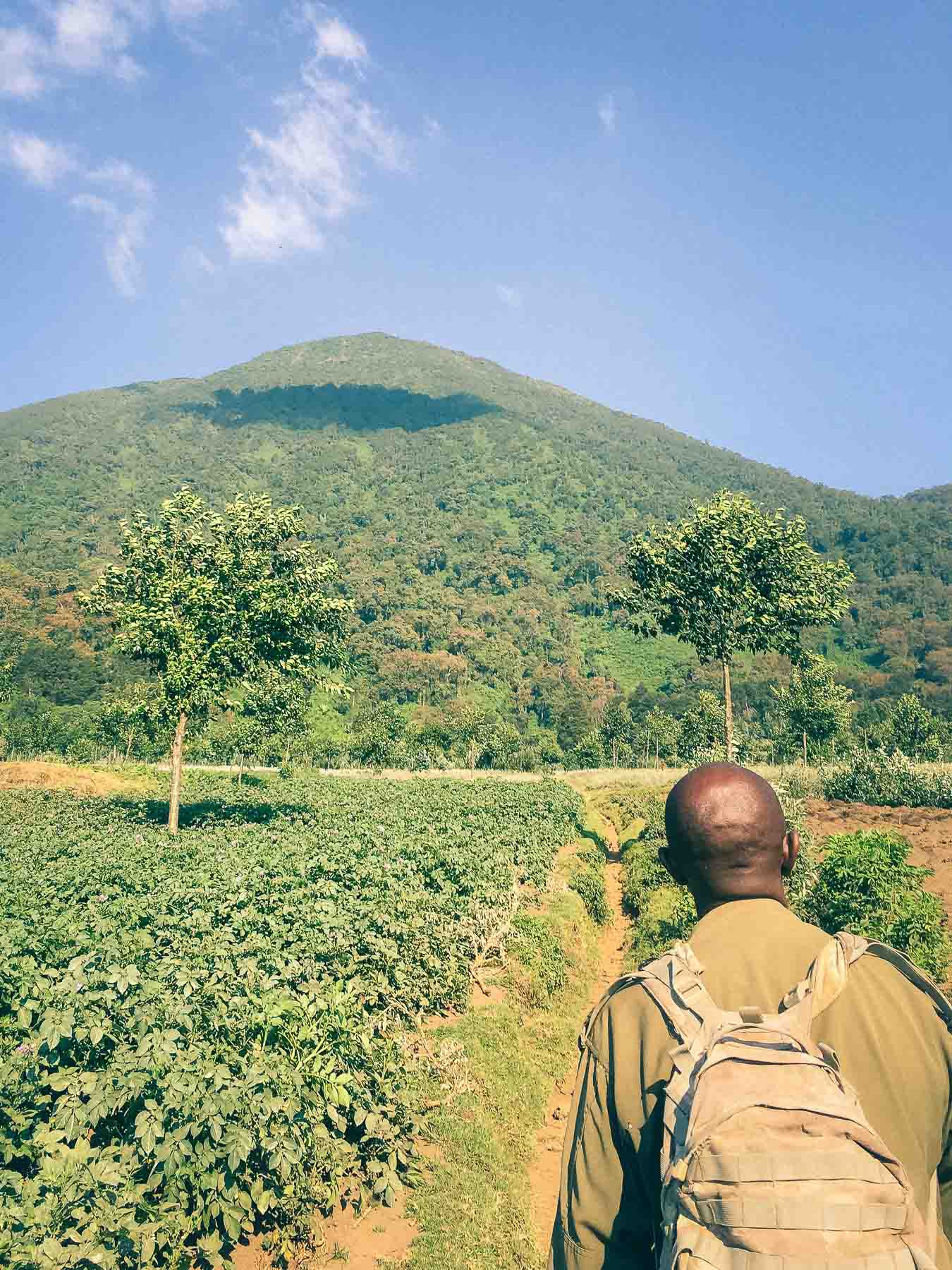 voyage trek rwanda