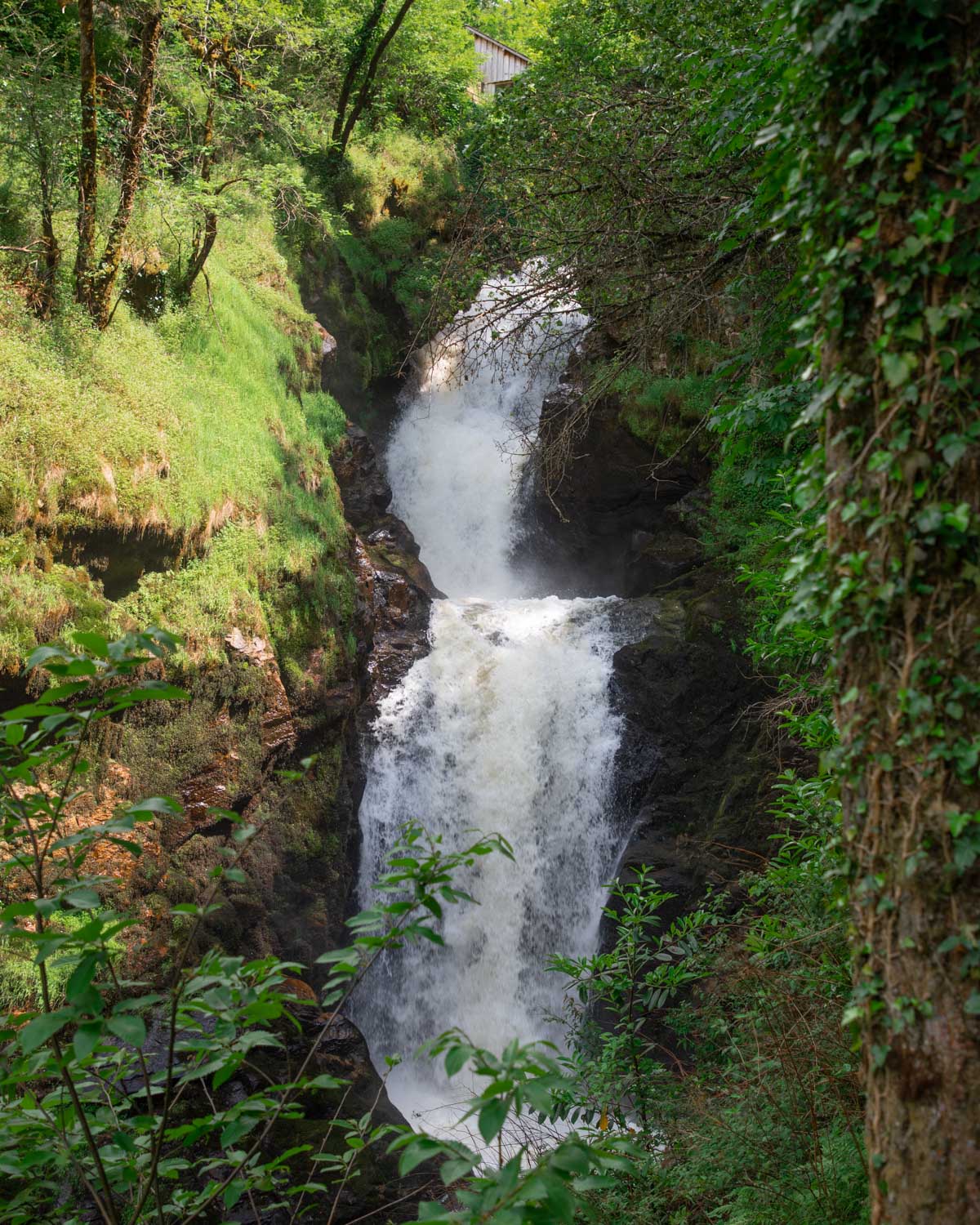 site-naturel-correze